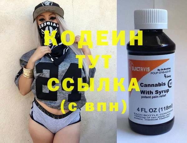 крисы Абаза