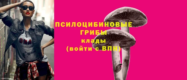 крисы Абаза