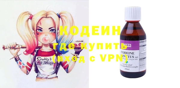 крисы Абаза