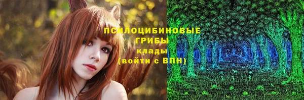 твердый Алексеевка
